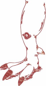 用红色画一个纸娃娃的身体，精美细致，可动关节设计，逗趣活泼。