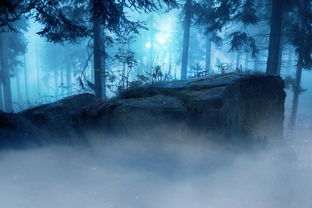 (悠闲的惬意时光)在悠闲惬意中沉醉——探寻心灵的安宁与快乐