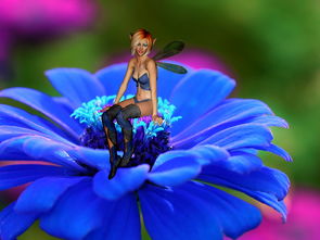 (神奇宝贝 宠物小精灵)探秘宠物宝贝小精灵的神奇世界