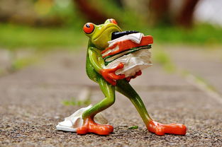 松松总动员210关攻略揭秘：新手到达高手三大步骤，技巧要点全面分析