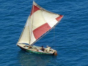 专注垂钓爱好,提供全方位服务:钓鱼助手钓鱼派独家技巧与装备指南分享 专注垂钓爱好,提供全方位服务:钓鱼助手钓鱼派独家技巧与装备指南分享