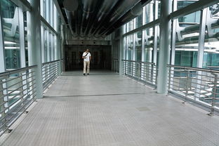 (开间小店游戏官网)开间小店，十人最强搭配！行业精英揭秘成功秘诀