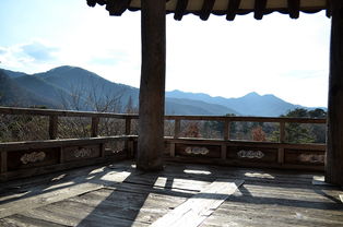 探秘中国历史文化：九畿岐风之旅的地理人文学解读与旅游体验类型探索