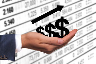 (乌合之众的解读)乌合之众：理解与分析的心得感悟文章