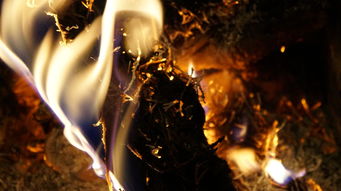 烈火如歌手游怎么突然消失了？究竟发生了什么让这款热门手游悄然退出市场？