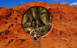 (傲视龙城礼包)成为傲视龙城永恒会员需要多少钱? (傲视龙城礼包)成为傲视龙城永恒会员需要多少钱?