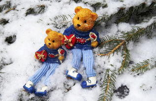 学习如何玩跳跳熊：跳跳熊玩法大揭秘，教你玩跳跳熊的技巧和注意事项!