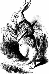 (爱丽丝漫游奇遇境简介)探秘神秘奇境：爱丽丝漫游奇遇仙境的奇幻冒险