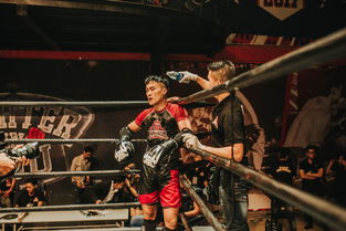 一拳超人最强之男官方服物测评：独家揭秘游戏功能与玩家体验感如何遥相辉映