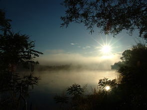 (《忘川彼岸》原唱:探寻遗忘之河的歌者是谁)《忘川彼岸》原唱：探寻遗忘之河的歌者