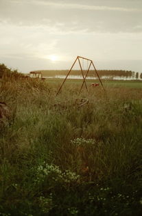 体验田园生活，发掘乐趣无穷——天天农庄官方版带你领略真实农场运营