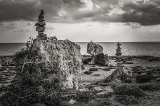 (刺杀国王百科)历史上最著名的刺杀国王事件：权谋、忠诚与暗杀的故事