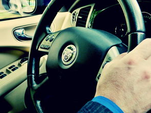 (立体车型)立体驾驶课程2最新版本更新下载,全新体验驾驶技巧! (立体车型)立体驾驶课程2最新版本更新下载,全新体验驾驶技巧!