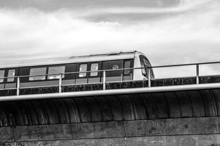 (很多勇者礼包兑换码)很多勇者无限钻石,闪耀无限可能,战力飙升无所畏惧 (很多勇者礼包兑换码)很多勇者无限钻石,闪耀无限可能,战力飙升无所畏惧