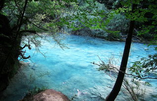 (精灵宝可梦水之都)神奇水域宝可梦：探寻水之奥秘，发现绝美精灵世界