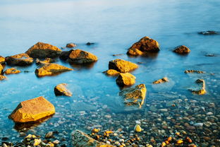 (精灵宝可梦水之都)神奇水域宝可梦：探寻水之奥秘，发现绝美精灵世界
