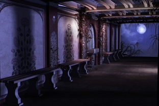 (马踏花归)马踏乱世 花旗风:穿越时空的梦幻之旅 (马踏花归)马踏乱世 花旗风:穿越时空的梦幻之旅