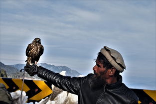 (都市之大冒险家全文免费阅读)都市之大冒险家最新章节:探索未知世界的惊险之旅 (都市之大冒险家全文免费阅读)都市之大冒险家最新章节:探索未知世界的惊险之旅