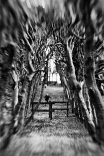 (黑色洛城好玩儿吗)深度探秘:黑色洛城旅游全攻略与隐藏秘密揭示 (黑色洛城好玩儿吗)深度探秘:黑色洛城旅游全攻略与隐藏秘密揭示