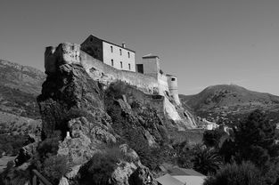 这城有点田升星:探寻城市农业发展新模式,打造可持续绿色生态城市 这城有点田升星:探寻城市农业发展新模式,打造可持续绿色生态城市