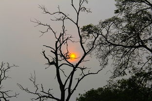 (杜牧 诗词)杜牧诗词欣赏：品读千古佳作，领略深邃诗心，探寻文学之美