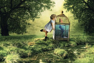 (夏日幻象主唱)夏日幻象:炎炎夏日中的美丽幻境,让心灵在梦幻中徜徉 (夏日幻象主唱)夏日幻象:炎炎夏日中的美丽幻境,让心灵在梦幻中徜徉