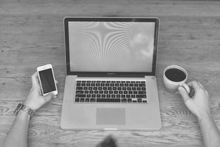 (笑傲天龙新服)探寻笑傲天龙手游不同版本的数量会有多少种? (笑傲天龙新服)探寻笑傲天龙手游不同版本的数量会有多少种?