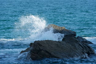 时空旅人白日看月:穿越时光的旅程,探寻宇宙奥秘,寻找月球的秘密之旅 时空旅人白日看月:穿越时光的旅程,探寻宇宙奥秘,寻找月球的秘密之旅