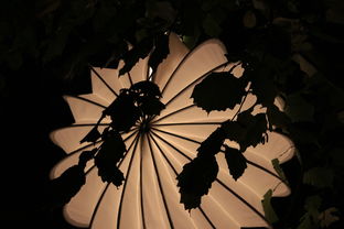 抖音风之骑士团:燃情舞台上的时尚战士,引领时尚潮流的新风向 抖音风之骑士团:燃情舞台上的时尚战士,引领时尚潮流的新风向