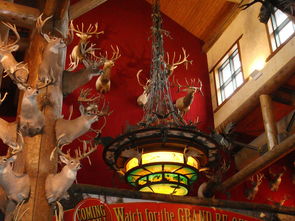 纯三国题材微信小游戏推荐：打破次元壁的策略对战与卡牌收集全新体验