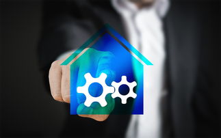 (织梦还有人用吗)揭秘：织梦森林下架的背后原因与影响分析