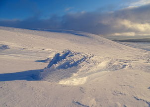 (伟大航线游戏)探寻时空边际的精彩旅程:伟大航线攻略全面分析及实用指南 (伟大航线游戏)探寻时空边际的精彩旅程:伟大航线攻略全面分析及实用指南