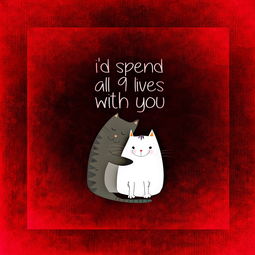 (天使之吻是什么玩法?探索爱与美的神秘奥秘是什么?)天使之吻是什么玩法?探索爱与美的神秘奥秘 (天使之吻是什么玩法?探索爱与美的神秘奥秘是什么?)天使之吻是什么玩法?探索爱与美的神秘奥秘