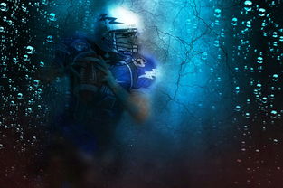 游戏'诺亚之心'停服后影响玩家体验:一款游戏的终结还能否继续使用? 游戏'诺亚之心'停服后影响玩家体验:一款游戏的终结还能否继续使用?