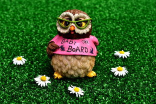 (快速了解数码宝贝)探秘数码宝贝V：全新数码伙伴与冒险故事的精彩展现