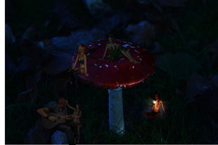 (穿越时空,探寻妖怪名单的幻想世界小说)穿越时空,探寻妖怪名单的幻想世界 (穿越时空,探寻妖怪名单的幻想世界小说)穿越时空,探寻妖怪名单的幻想世界