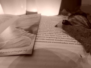 (黄书上的黑道是什么意思)深入解析黑黄书的定义及其在网络文化中的影响与意义 (黄书上的黑道是什么意思)深入解析黑黄书的定义及其在网络文化中的影响与意义