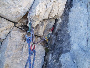 山人为仙最经典的一句:以山为家,以云为衣,以风为友,以自然为师 山人为仙最经典的一句:以山为家,以云为衣,以风为友,以自然为师