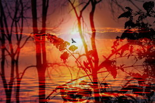 (谎言之海 下载)谎言之海与叛乱之心:揭示百度网盘中的真相与背叛 (谎言之海 下载)谎言之海与叛乱之心:揭示百度网盘中的真相与背叛