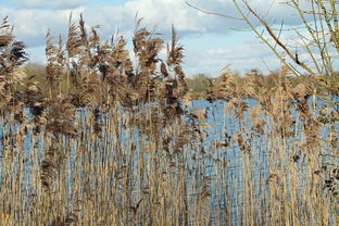 (立冬户外活动)立冬时节的户外游戏有哪些最适合的选择? (立冬户外活动)立冬时节的户外游戏有哪些最适合的选择?