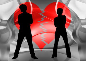 (王女异闻录动画在哪看)王女异闻录关服的原因分析及解决方案。 (王女异闻录动画在哪看)王女异闻录关服的原因分析及解决方案。