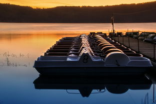 (黎明官方网站)透过黎明官网登录入口,开启精彩旅程与独特体验 (黎明官方网站)透过黎明官网登录入口,开启精彩旅程与独特体验