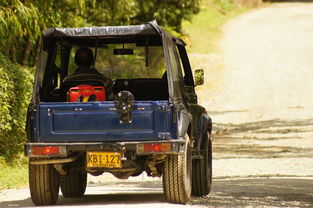 (平行轨迹下载)探索平行轨迹手游官方网站:揭秘游戏特色与最新动态 (平行轨迹下载)探索平行轨迹手游官方网站:揭秘游戏特色与最新动态