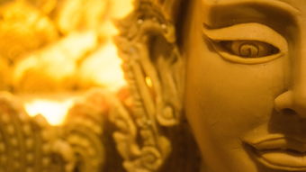 (解神者现在还能玩吗)解神者停服之后还能玩吗？是否有其他替代游戏可以选择？