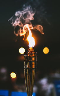 (火炬之光无限技能)火炬之光无限职业攻略大揭秘:打造最强职业阵容! (火炬之光无限技能)火炬之光无限职业攻略大揭秘:打造最强职业阵容!