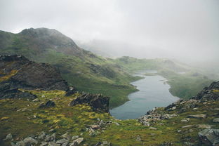 登上青莲之巅，俯瞰万物，感悟生命的真谛，探寻心灵的宁静与力量。