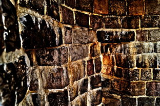 (特斯拉的末日模式)探秘特斯拉末日城堡的终极攻略指南