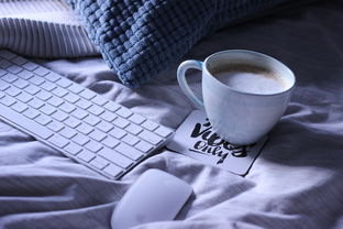 外星人电脑清灰一般多少钱？清洁维护费用如何？了解清洁服务价格