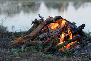 (离火之精是什么意思)离火之境手游玩法详解及游戏评测,让您了解游戏特色和玩法 (离火之精是什么意思)离火之境手游玩法详解及游戏评测,让您了解游戏特色和玩法