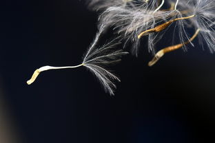 (劫过后,就重生的句子说说心情)穿越劫难、挣扎求生:重新定义的劫后余生游戏体验 (劫过后,就重生的句子说说心情)穿越劫难、挣扎求生:重新定义的劫后余生游戏体验